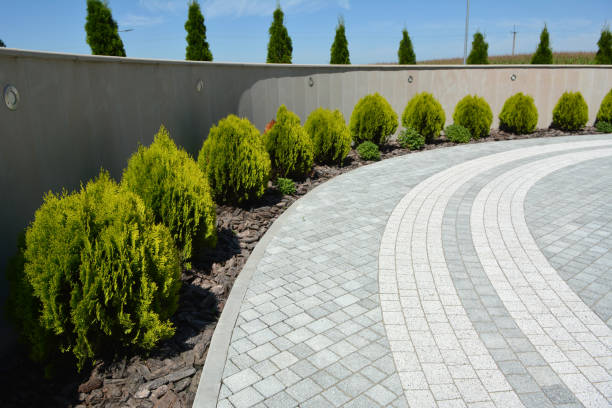 Best Driveway Pavers Installation  in Battlement Mesa, CO