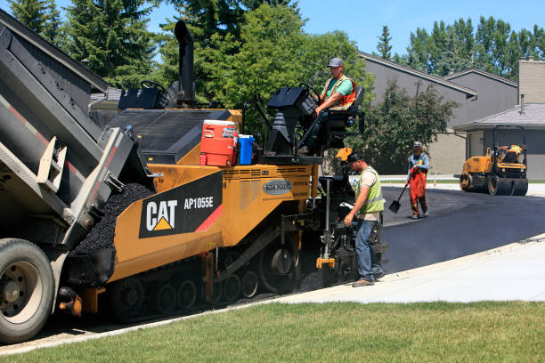 Best Driveway Pavers Near Me  in Battlement Mesa, CO